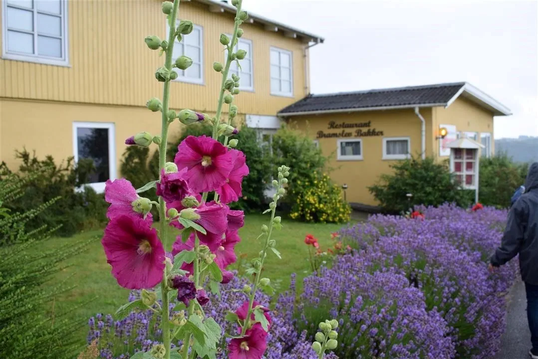 G21.4 bramslev bakker restaurant lunch fri 21 jul (5)